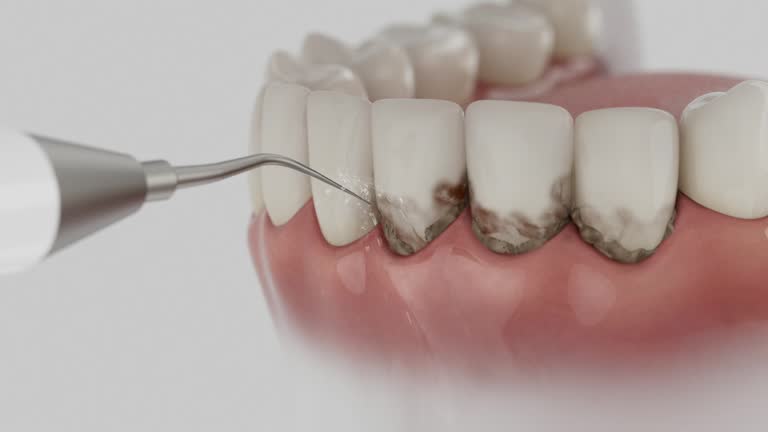 Reliable Dental contractor in Pontiac, IL by Dentist Open Now